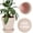 Pink, variant on 8 Inch Clay Pot for Plant with Saucer - 2 Pack Large Terra Cotta Plant Pot with Drainage Hole, Clay Planters Pot, Terracotta Pot for Indoor Outdoor Plant