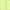 Acid Yellow, variant on Brahma Men's Poly Polo T-Shirts