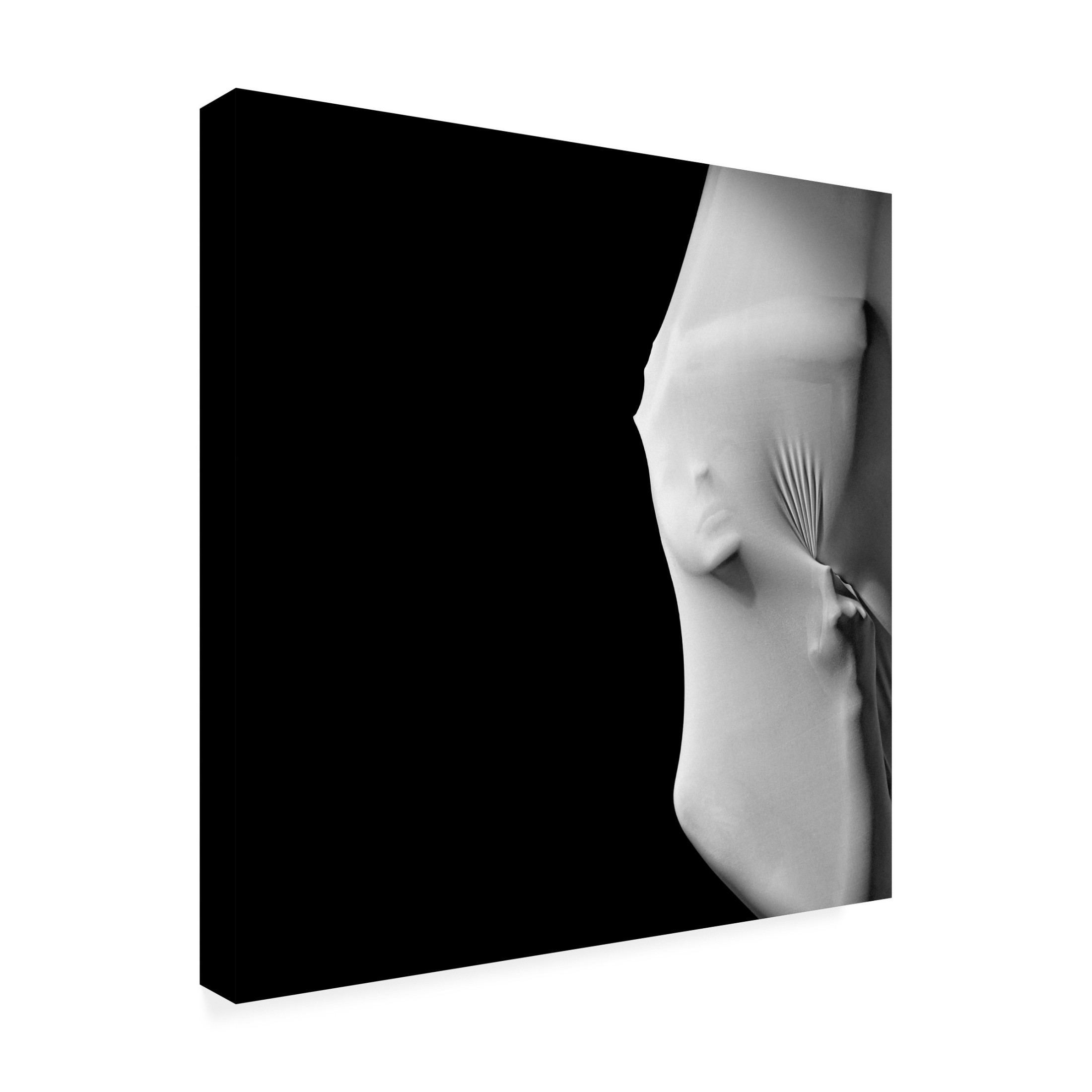 Trademark Fine Art Itzik Rabinovitz Incognito Canvas Wall Art