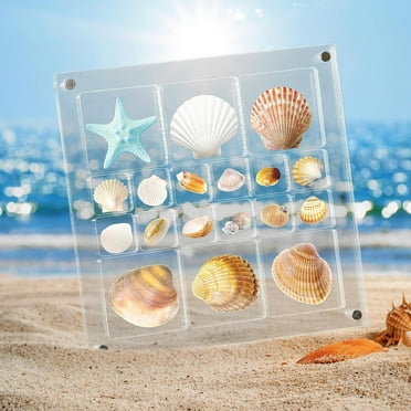 Up to 65% off karymi 5.6x5.6in Acrylic Magnetic SeaShell Display Box Large Size Clear Display Sea Shell Display Case for Travel Craft Organizers Display Box for Seashell(18 Grids)