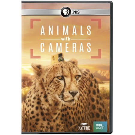 Nature: Animals With Cameras (DVD) PBS (Direct) Documentary