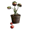 thumbnail image 4 of Lumifun Metal Carnivorous Plant Garden Stake 6.7 inches, Head Venus Flytrap Plant Sculpture, Whimsical Flower Sculpture Yard Art Decor for Flower Beds, Patios & Planters, Unique Quirky Garden Gift, 4 of 9