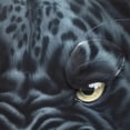 thumbnail image 4 of Coolnut Black Leopard Shower Curtain Waterproof Fabric Shower Curtain 60" W x 72" H Shower Curtain Set with Hooks for Bathroom Decor, Machine Washable, 4 of 6