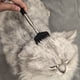 thumbnail image 4 of Juguete De Plástico Para Gatos Juguete retráctil negro para gatos con mango largo, interactivo, para juego activo, rascado y masaje (1 unidad) JASKFLY, 4 of 8