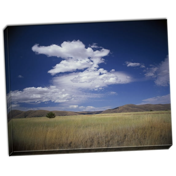 Gango Home Decor Lone Tree by Ike Leahy (Ready to Hang); One 28x22in Hand-Stretched Canvas