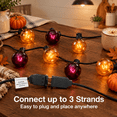 25ft G40 String Lights r Orange Purple Globe - Walmart.com