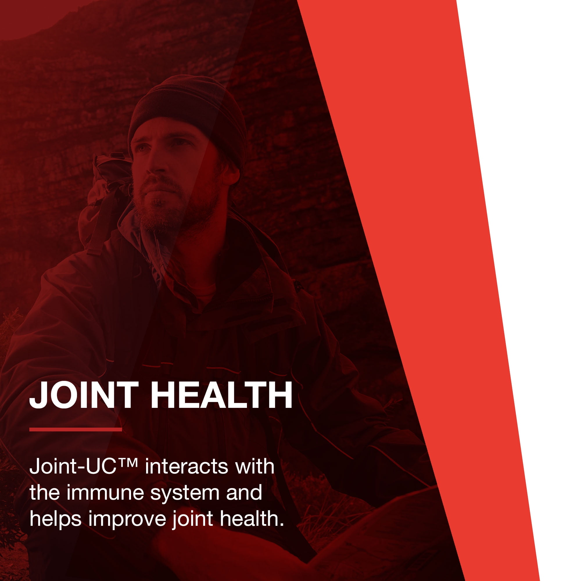 Protocol Joint-UC - Joint and Immune Support - Collagen Type 2, Seaweed Minerals - 60 Veg Caps