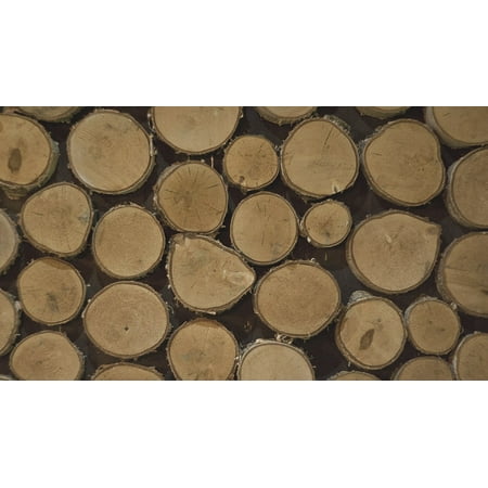Ok Log Canvas Print Tree Pen?óë????ok Logs Nature Low Waist Penk Hipster Stretched Canvas 10 x 14 ()