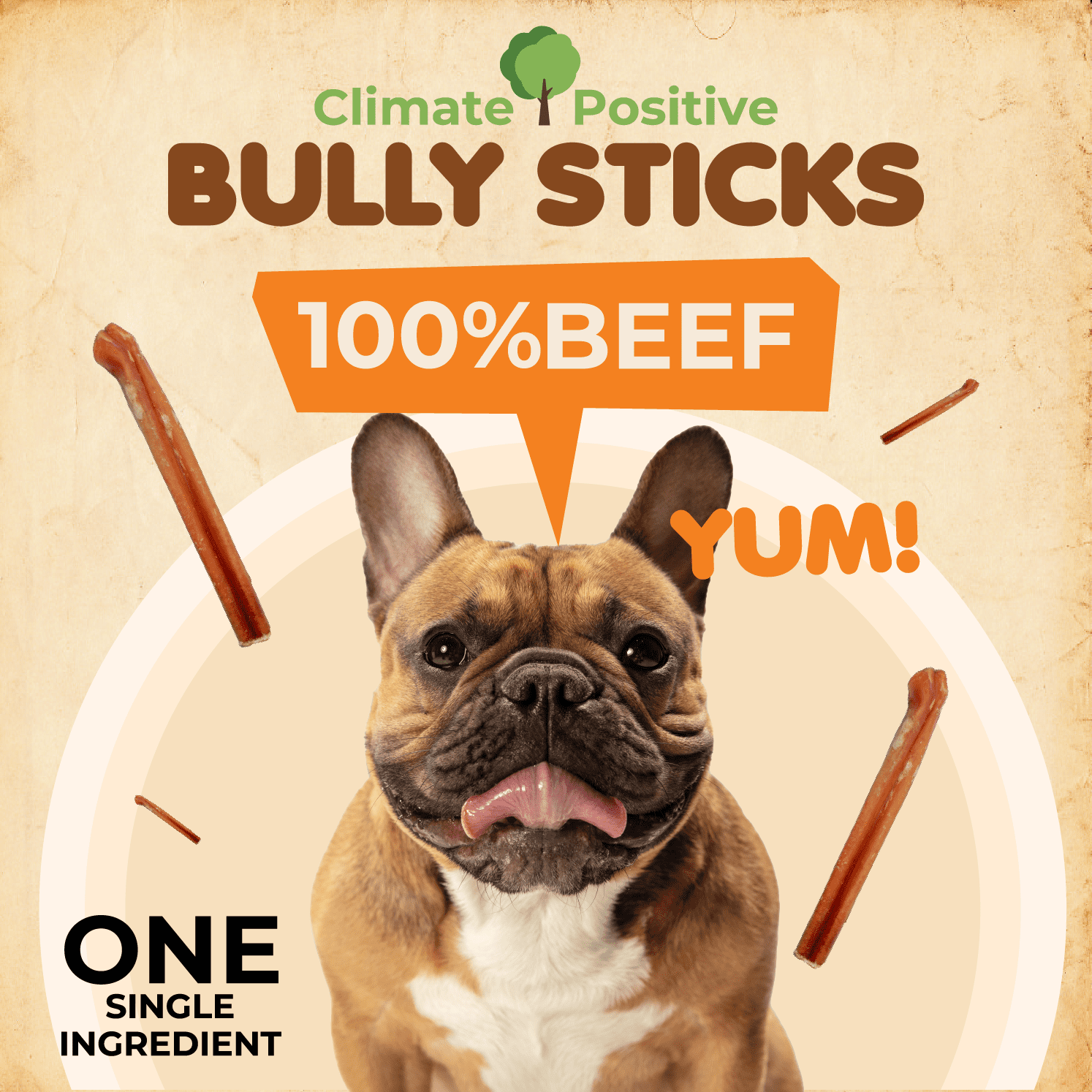 Makondo Pets Bully Sticks for Dogs, 100% Natural Premium Beef, 6 Inches, 12 Pieces. Great source of protein.