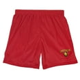 thumbnail image 3 of Harry Potter Gryffindor Arch Mens Lined Mesh Shorts, Red, Large, 3 of 6