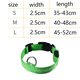 thumbnail image 3 of Collar para perros con luz LED reflectante de nailon, collar para perros con emisión de luz recargable por USB., 3 of 5