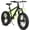 Black-Green, variant on 20 Inch Fat Tire Kids Mountain Bike, 7-Speed Mountain Bicycle with Dual Disc Brake and Front Suspension, High-Carbon Steel Frame Kids MTB for Boys Girls Ages 8-12 Year Old, Black-Red