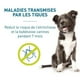 thumbnail image 5 of Collar antipulgas de goma personalizado para mascotas collares antipulgas para cachorros gatos y perros grandes 2 uds., 5 of 9