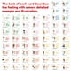 thumbnail image 5 of Tarjetas didácticas de sentimientos - 60 tarjetas de sentimientos únicas para niños - Tarjetas didácticas para aprender emociones y sentimientos, 5 of 5