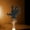 Palm, variant on Halloween Candles Holder, Funny Shadow Stand Candlestick, Spooky Black Ghost Tealight Candle Holders, Halloween Decorations with Palm Ghosts Witch Skeleton for Home Party Decor (Skeloton)
