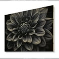 thumbnail image 2 of Designart "Monochrome Garden Palette Black and White Dahlias III" Floral Print on Natural Pine Wood, 2 of 5