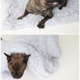 thumbnail image 3 of Plush Pet Blanket Double-sided Soft Warm Solid Color Cat Blanket Dog Blanket, 3 of 10