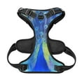 thumbnail image 5 of Lsque Peacock Dog Harness, No-Pull Pet Harness with 2 Leash Clips, Adjustable Soft Padded Dog Vest with Easy Control Handle for Large Dogs-Large, 5 of 9