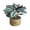 B, variant on Artificial Potted Plant,Weather Resistant Fake Plant in Woven Basket Faux Greenery Decor for Home Tabletop Living Room Office Shelf
