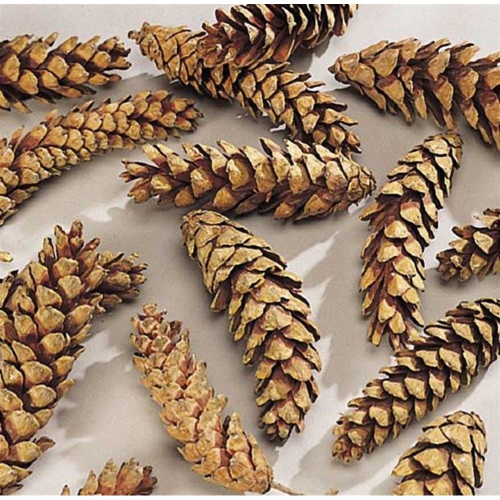 Strobus Natural Pine Cones 15 per bag 12in. wide 46" long Natural