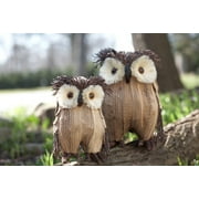 10" Modern Lodge Set of 4 Natural Twig and Fiber Owl Table Top Decorations