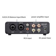 D325 Auditory Amplifier Advanced TPA3255 Chip Digital Amplifier Enhancing Heat Dissipation Design