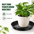 thumbnail image 5 of 16 Pack Plastic Plant Saucers, 6/8/10/12 inches Plant Tray for Pots, Heavy Duty Plant Drip Trays，Flower Water Trays for Indoor Outdoor Plants, 5 of 9