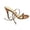Brown, variant on Elegant Stiletto Open Toe Summer Sandals Strappy High Heel Dressy Sandals witn Ankle Strap (Brown 6)
