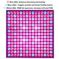 thumbnail image 2 of Hytekgro 12.20" 45W LED Low-Heat Indoor Grow Light, Red Blue White 6500K (2 Count), 2 of 7