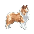 thumbnail image 3 of CafePress - ROUGH COLLIE Pajamas - Women's Short Sleeve Print T-Shirt and Pants Light Cotton Pajama Set, 3 of 7