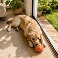 thumbnail image 6 of AuroraX Dog Toys for Small Dogs Balls Soft Dog Toy for Fetch Interactive Durable Squeaky Colorful Dog Toys for Outdoor Play Orange National Dog Day International Cat Day, 6 of 7
