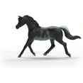 thumbnail image 4 of Schleich Horse Club Arabian Stallion, 4 of 4