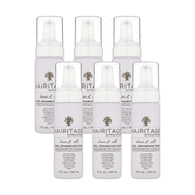 Hairitage Have It All Curl Enhancing Foam Mousse with Quinoa & Rice Protein for Frizz Control, 5 oz (Pack of 6)
