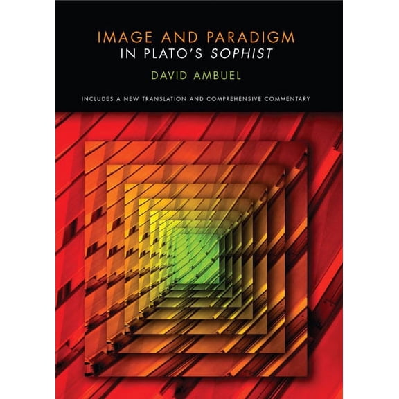 Image and Paradigm in Plato's Sophist (Hardcover)