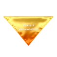 thumbnail image 4 of UJNDER Womens Custom Text Printed Silk-like Scarf with Elegant Lightweight for Stylish Everyday Wear and Accessory Neck Scarf for Women,Orange,One Size, 4 of 5