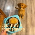 thumbnail image 3 of Bark Bistro Pumpkin Pup Buddy Butter Dog Peanut Butter 17oz jar, 3 of 10
