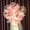 Rose Chaud HT, variante sur Iumwxz Ballons LED Bouquet de Roses Lumineux Noël Décorer Cadeau Décoration Fête Mariage kit d'Arche de Ballons Bleu Plastique Aubaines sur les Fournitures Ménagères