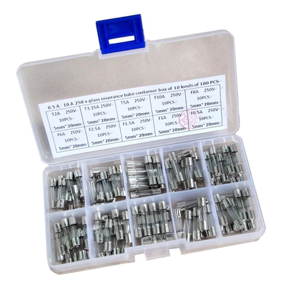 Surtido de Fusibles de de Soplado , 100 Piezas, Fusibles de Tubo de 5x20 Mm con Caja de Plástico shamjiam Fusible