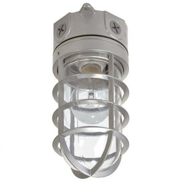VT100G 100W Vapor Tight Incandescent Flood Light