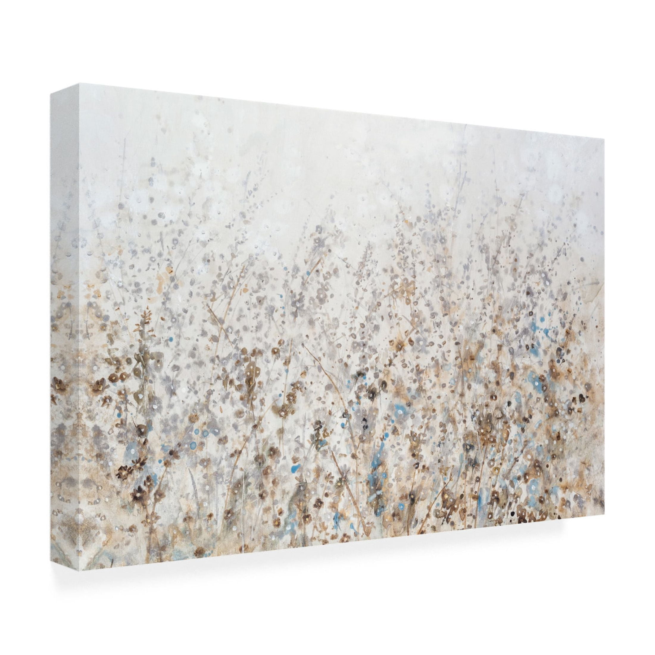 Trademark Fine Art Tim OToole Wildflower Cluster I Canvas Wall Art