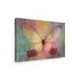 thumbnail image 2 of Trademark Fine Art 'Yellow Butterfly Watercolor' Canvas Art by Cora Niele, 2 of 3