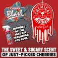 thumbnail image 6 of Chemical Guys Hanging Air Freshener 3-Pack Variety, Black Frost, Cherry Blast, Pina Colada, 6 of 7
