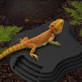 thumbnail image 2 of HLONK All-in-One Reptile Bathing Pool & Feeding Dish with Ramp - Heavy-Duty  Easy-Clean Design  Open-Top Habitat for Tortoises  Lizards  Bearded Dragons  Snakes  Hamsters - Dishwasher Saf, 2 of 4