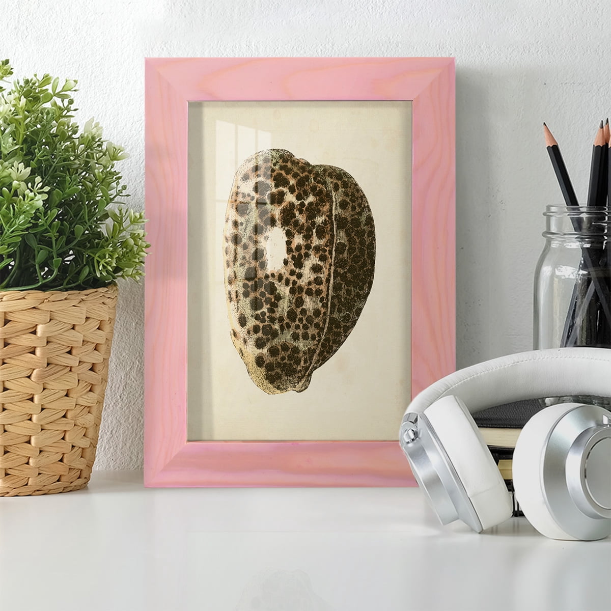 Sealife Collection III - Framed Print w/glass - Sunset Pink