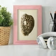 thumbnail image 6 of Sealife Collection III - Framed Print w/glass - Sunset Pink, 6 of 8