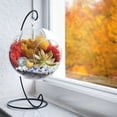thumbnail image 6 of Creations by Nathalie DIY Terrarium Kit: Mini-Ecosystem with Glass Globe, Moss, Crystals & Rocks - Easy Assembly - Ideal Nature Lover Gift - No Plant - USA Made, 6 of 11