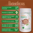 thumbnail image 4 of Proteína Vegana Nutrasien100 Sabor Chocolate 500 g 17 Porciones, 4 of 8