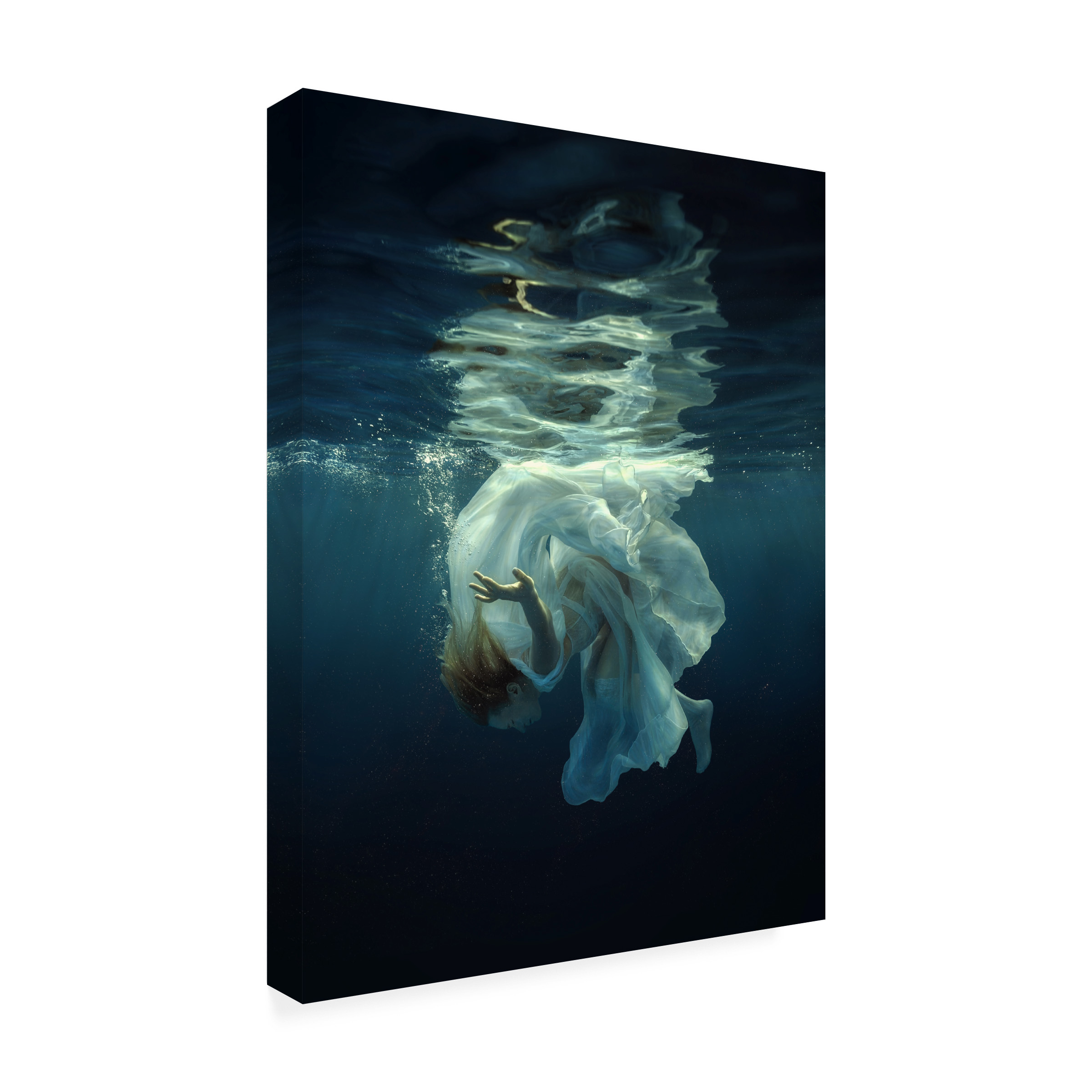 Dmitry Laudin 'Flash' Canvas Art