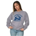 thumbnail image 3 of Betty Boop Connecticut State Outline Women Crewneck Sweatshirt Brisco Brands L, 3 of 6