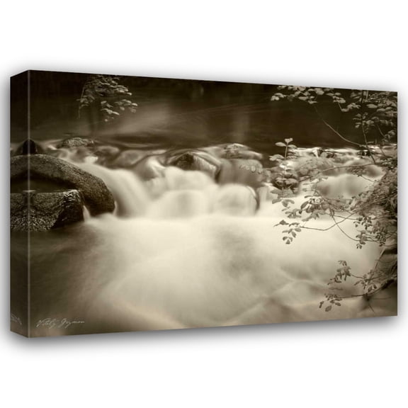 Vitaly Geyman 24x19 Gallery Wrapped Canvas Wall Art Titled - Sepia Waters IV